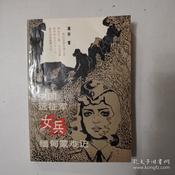 緬甸遠(yuǎn)征軍的小說(shuō)，英勇與犧牲的史詩(shī)，緬甸遠(yuǎn)征軍，英勇?tīng)奚氖吩?shī)之旅