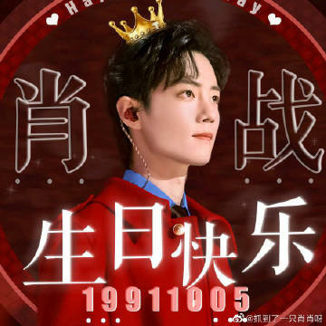 一肖一碼一一肖一子，探尋背后的神秘與魅力，探尋生肖一碼一子的神秘魅力與背后故事