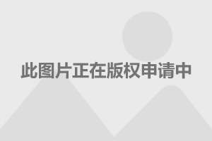 三軍儀仗隊圖片Logo，榮耀的象征與國家的驕傲，三軍儀仗隊圖片Logo，國家榮耀與驕傲的典范