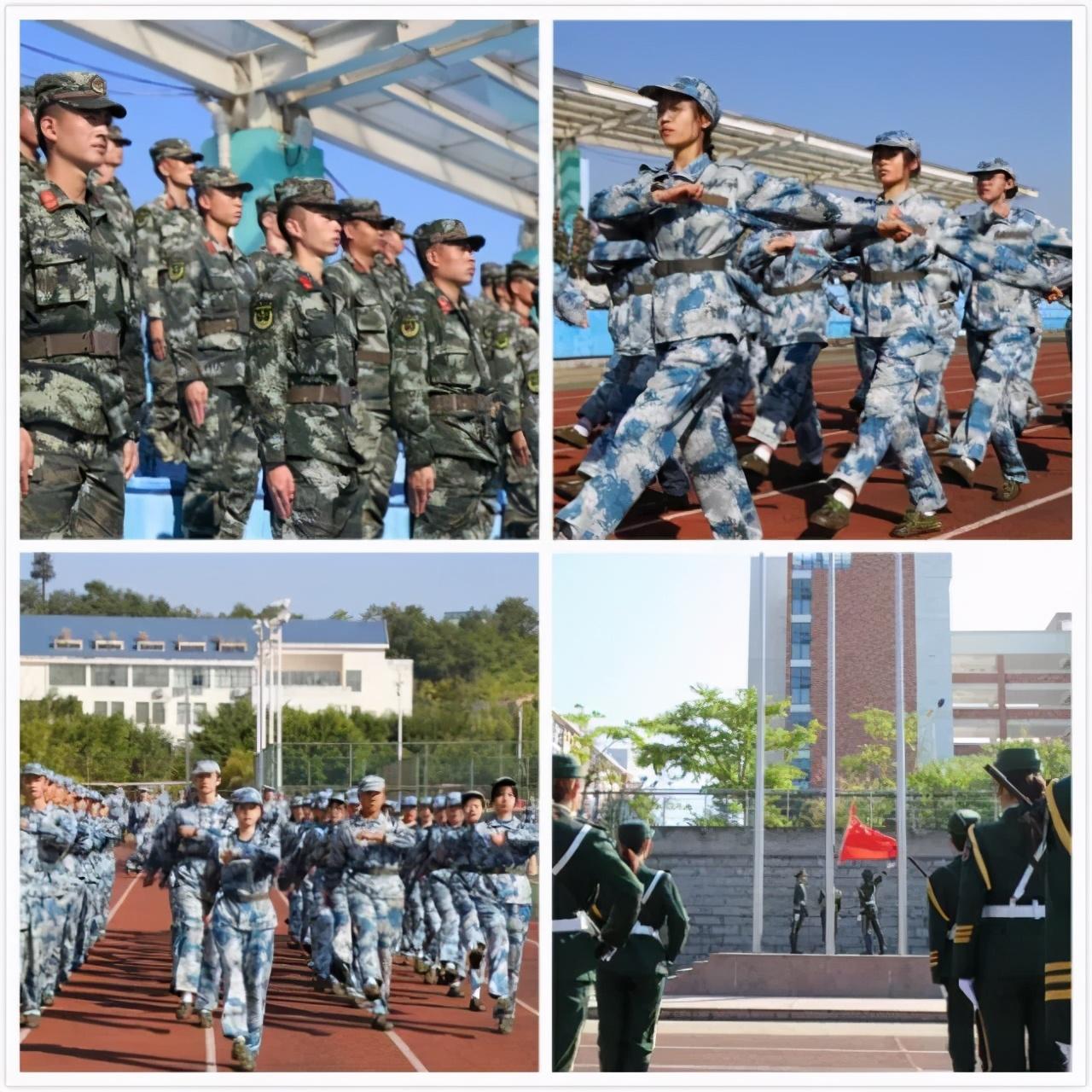 中央軍事頻道在2020年的表現(xiàn)與影響，中央軍事頻道在2020年的表現(xiàn)及其影響力分析