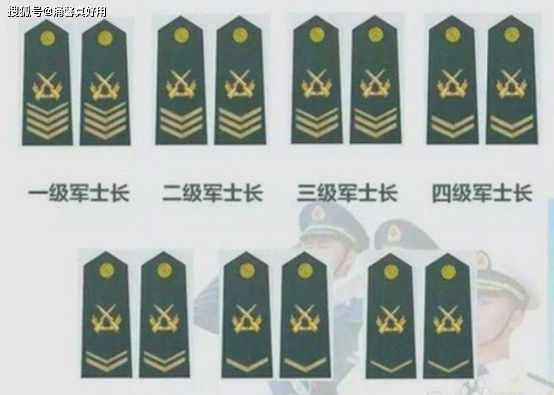 七級士官軍銜，榮譽與責任的象征，七級士官軍銜，榮譽與責任的標志