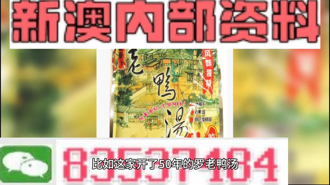 新澳2025年正版資料深度解析，新澳2025年正版資料深度剖析