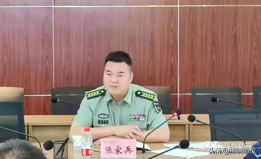 集團(tuán)軍處長(zhǎng)級(jí)別的職責(zé)與角色解析，集團(tuán)軍處長(zhǎng)級(jí)別的職責(zé)與角色深度解析