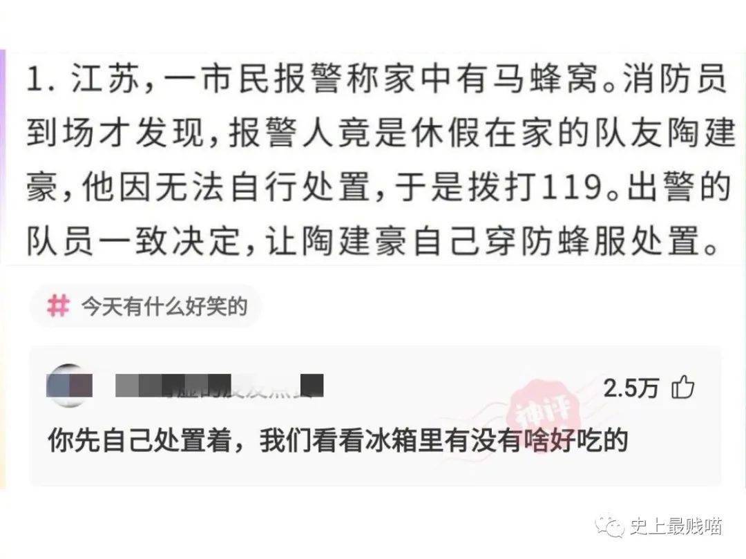 2021最新新聞及點評摘抄概覽，2021最新新聞及點評概覽