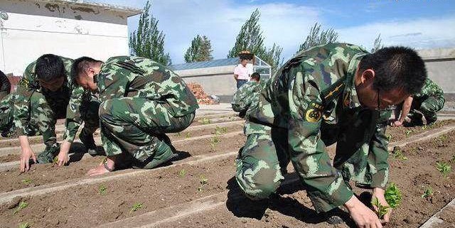 軍事農(nóng)業(yè)頻道是否已被刪除？探究背后的原因與影響，軍事農(nóng)業(yè)頻道背后的消失原因及其影響探究