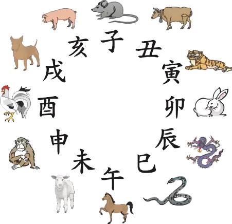 王中王016指一生肖——探尋背后的神秘與魅力，王中王016生肖背后的神秘魅力探尋