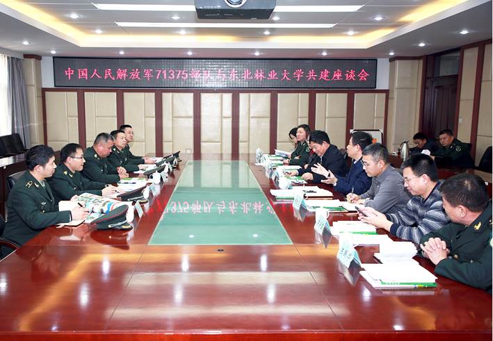 光榮使命的象征