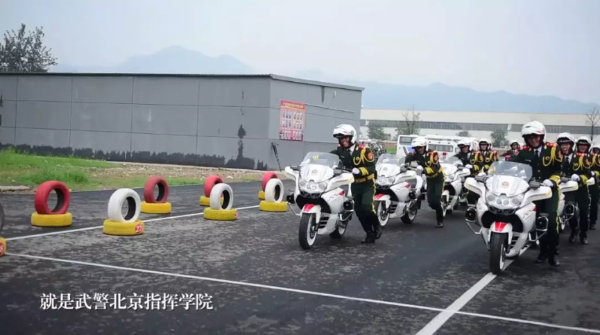 國(guó)賓護(hù)衛(wèi)隊(duì)護(hù)衛(wèi)標(biāo)準(zhǔn)，卓越中的卓越，國(guó)賓護(hù)衛(wèi)隊(duì)卓越標(biāo)準(zhǔn)，護(hù)衛(wèi)中的精英