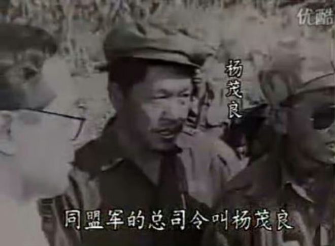 緬甸遠(yuǎn)征軍后裔騙子，揭示背后的真相與警示社會(huì)，緬甸遠(yuǎn)征軍后裔騙子背后的真相揭示與社會(huì)警示