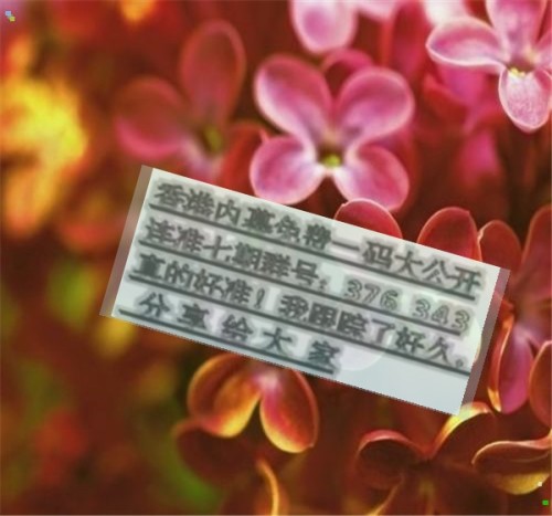 王中王六肖必中一期，揭秘精準(zhǔn)預(yù)測的魅力，揭秘王中王六肖精準(zhǔn)預(yù)測的魅力，一期必中傳奇！